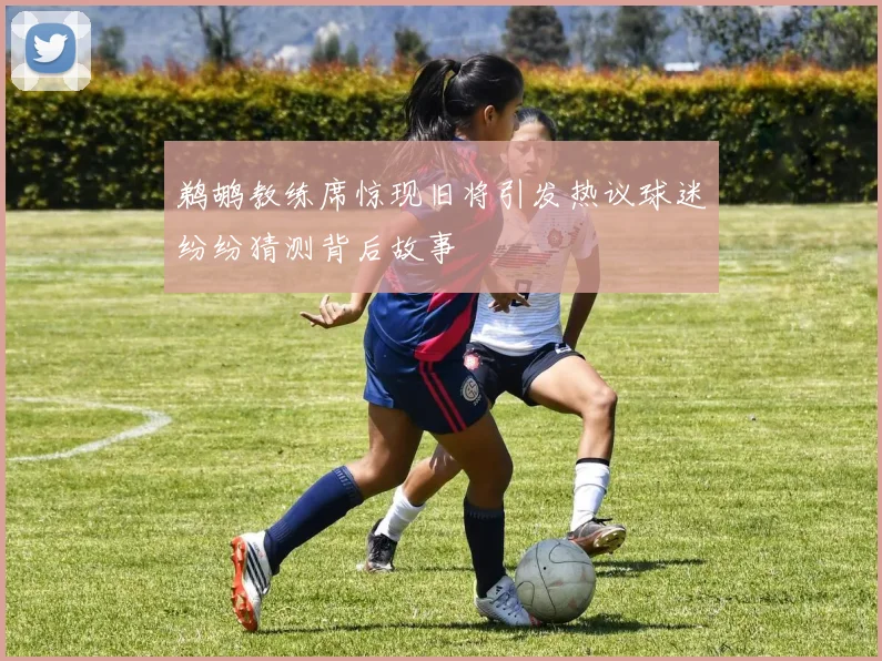 鹈鹕教练席惊现旧将引发热议球迷纷纷猜测背后故事